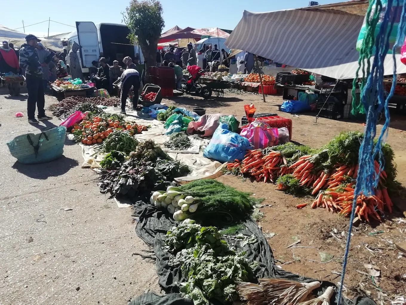 Souk Hebdomadaire Had Gharbia